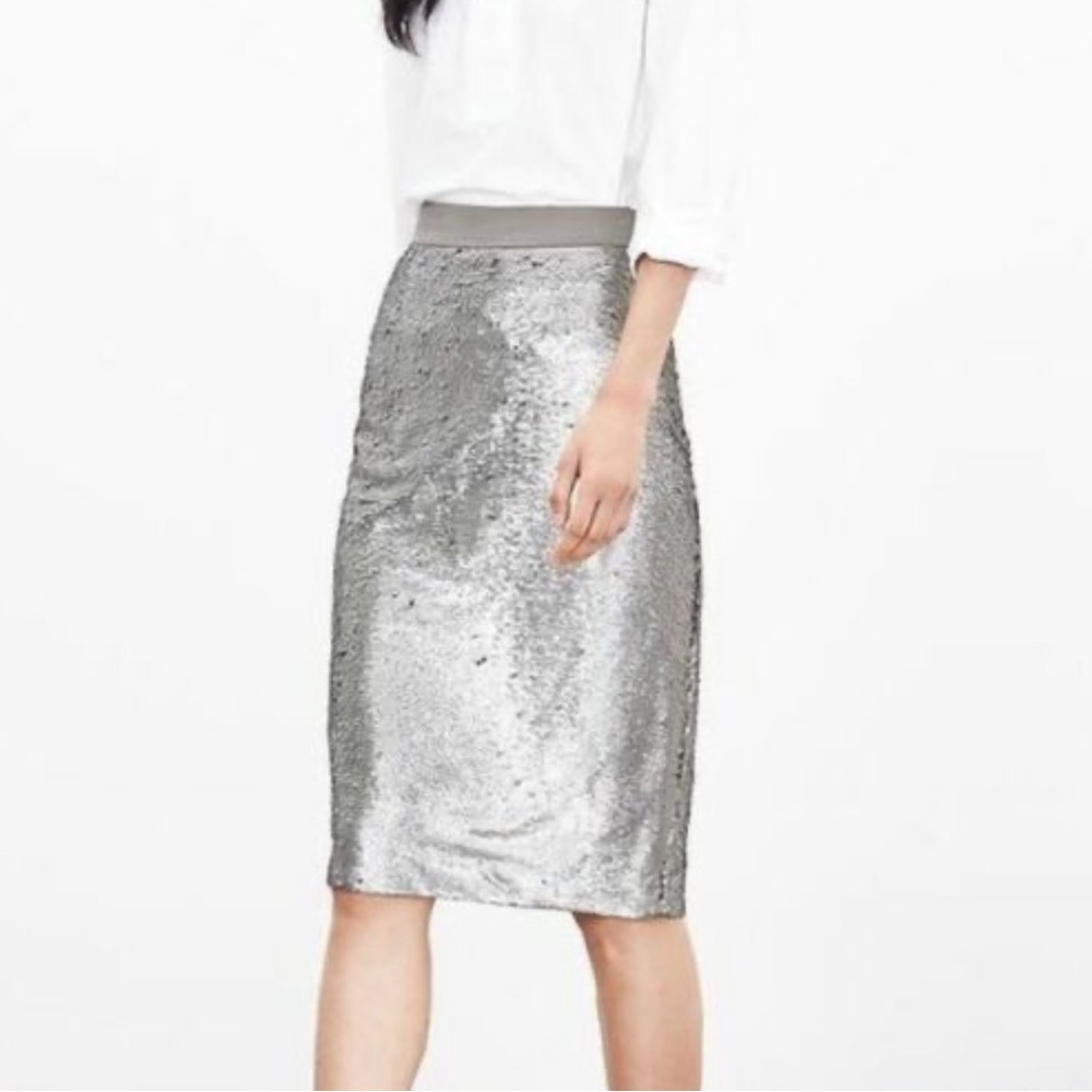 Banana Republic Silver Sequin Pencil Skirt Size 2